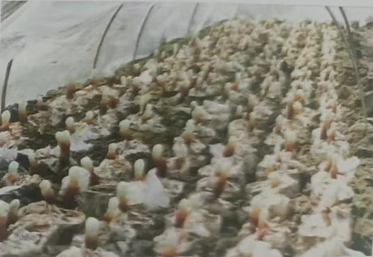 210239105.jpg WechatIMG1095.jpg