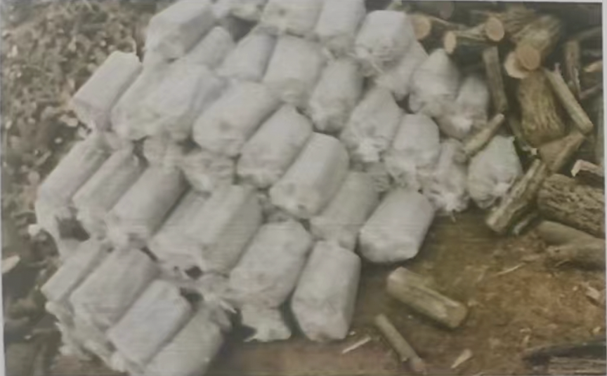 210249530.jpg WechatIMG1093.jpg